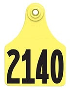 Large