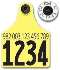 Matched Pair Tags