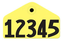 Hog Tags