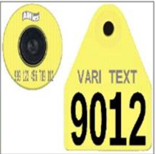 Allflex Allflex Medium Male FDXLW Matched Pair Set Layout 3-4 - Yellow