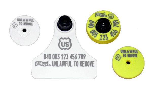 Allflex Allflex USDA Junior FDX Matched Pair Set - Yellow