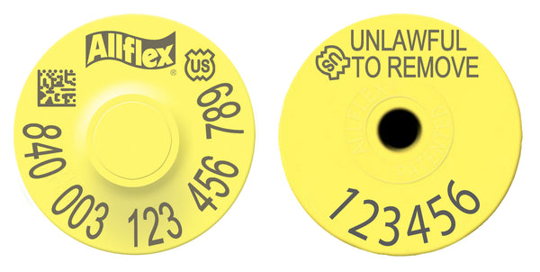 Allflex USDA Small Female Layout 1