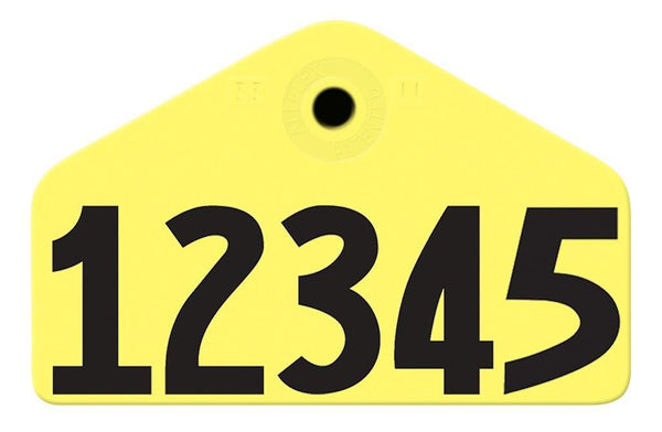 Allflex Allflex Hog Male Layout 1 - Yellow