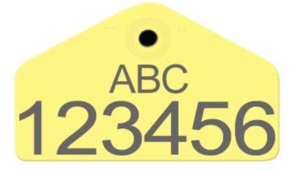 Allflex Allflex Hog Male Layout 11 - Yellow