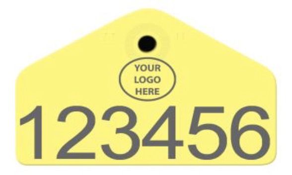 Allflex Allflex Hog Male Layout 12 - Yellow
