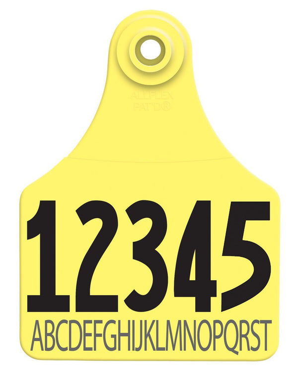 Allflex Allflex Large Layout 37 - Yellow