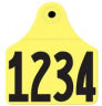 Allflex Allflex Large Male Layout 1 - Yellow