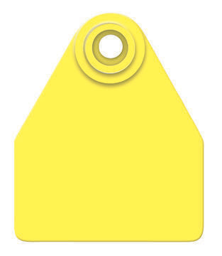 Allflex Allflex Medium Blank in bags of 25 no buttons - Yellow