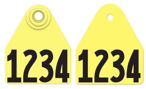 Allflex Allflex Medium Layout 1R - Yellow