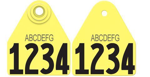 Allflex Allflex Medium Layout 22 - Yellow