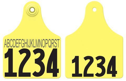 Allflex Allflex Maxi Layout 3R - Yellow