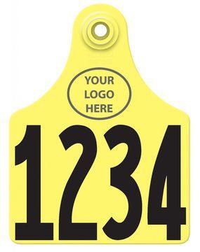 Allflex Allflex Maxi Layout 5 - Yellow