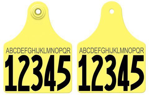 Allflex Allflex Maxi Layout 91 - Yellow
